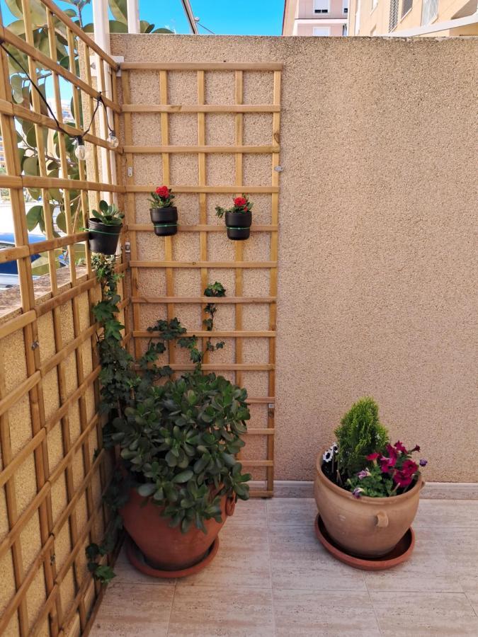 Apartamento Dama De Guardamar Apartment Guardamar del Segura Bagian luar foto